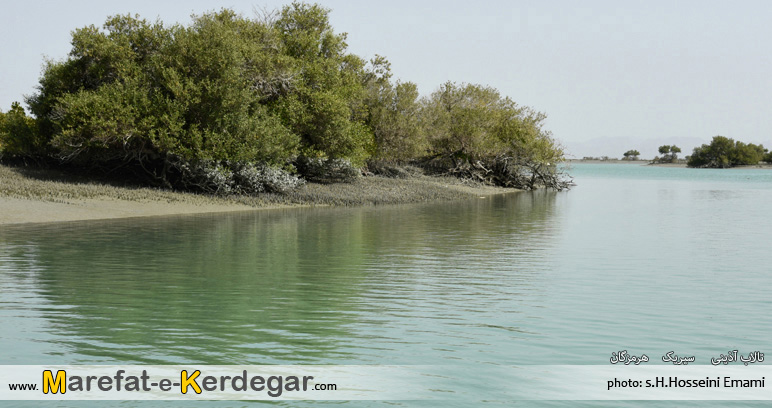 جاذبه های گردشگری سیریک جاذبه های گردشگری سیریک