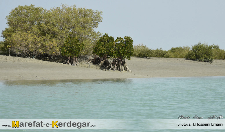 جاذبه های گردشگری سیریک جاذبه های گردشگری سیریک