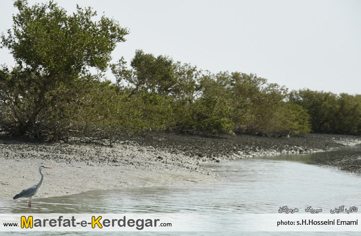 جاذبه های گردشگری هرمزگان جاذبه های گردشگری هرمزگان