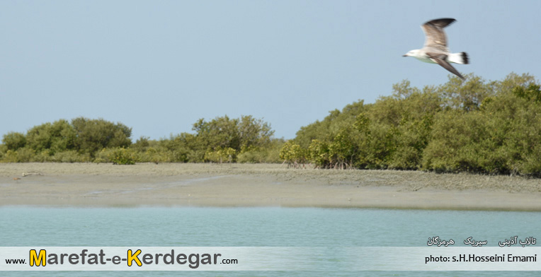 طبیعت سیریک طبیعت سیریک