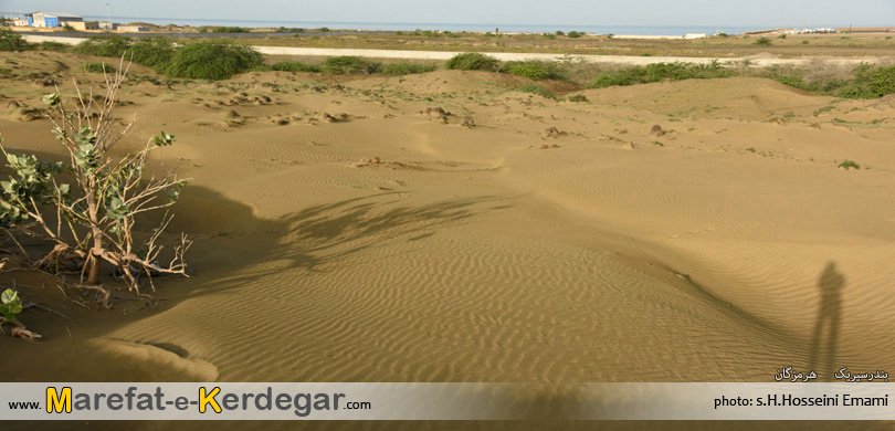 جاذبه های طبیعی بندر سیریک جاذبه های طبیعی بندر سیریک