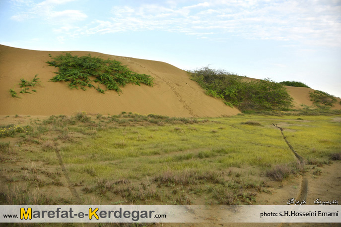 بندر سیریک بندر سیریک