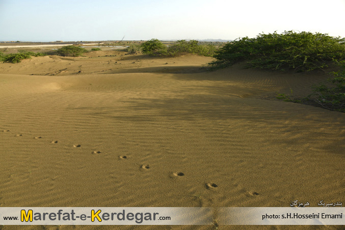 اماکن دیدنی بندر سیریک اماکن دیدنی بندر سیریک