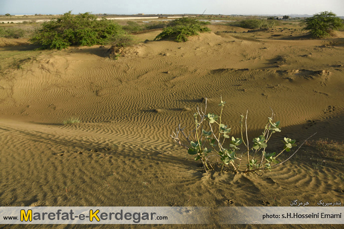 رمل های بندر سیریک رمل های بندر سیریک