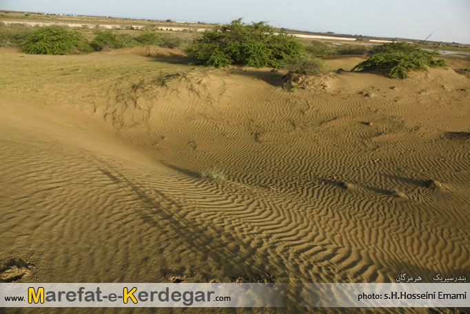 رمل های بندر سیریک رمل های بندر سیریک