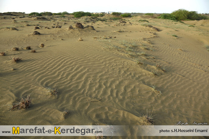 گردشگری بندر سیریک گردشگری بندر سیریک