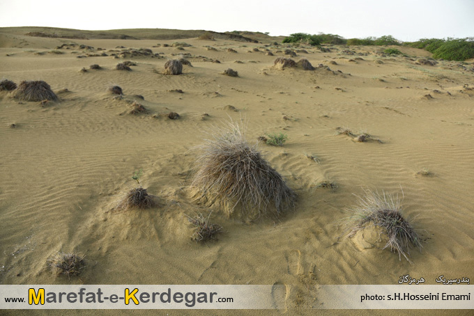 گردشگری بندر سیریک گردشگری بندر سیریک