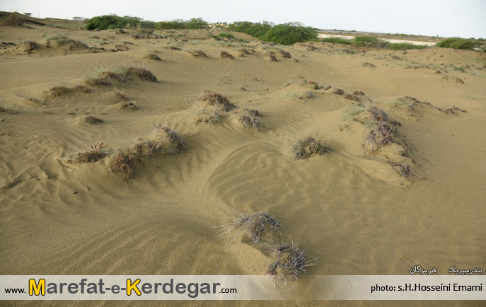 عکاسی از بندر سیریک عکاسی از بندر سیریک