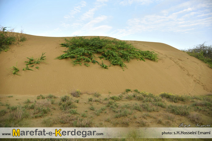 طبیعت بندر سیریک طبیعت بندر سیریک