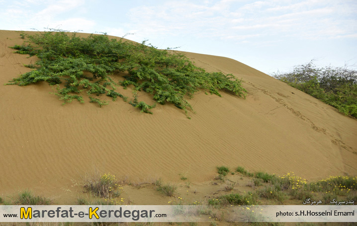 طبیعت بندر سیریک طبیعت بندر سیریک