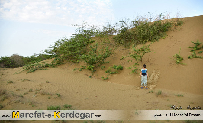 دیدنی های بندر سیریک دیدنی های بندر سیریک