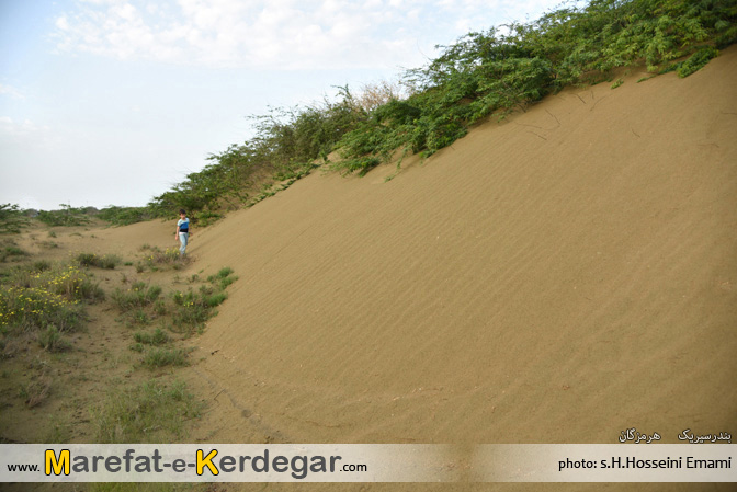 دیدنی های بندر سیریک دیدنی های بندر سیریک