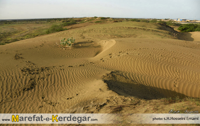 طبیعت بندر سیریک طبیعت بندر سیریک