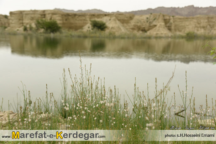 مناظر طبیعی جنوب مناظر طبیعی جنوب