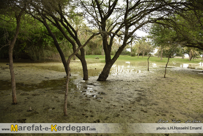 روستای بمانی روستای بمانی
