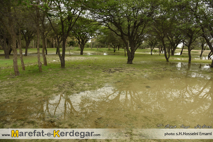 طبیعت هرمزگان طبیعت هرمزگان