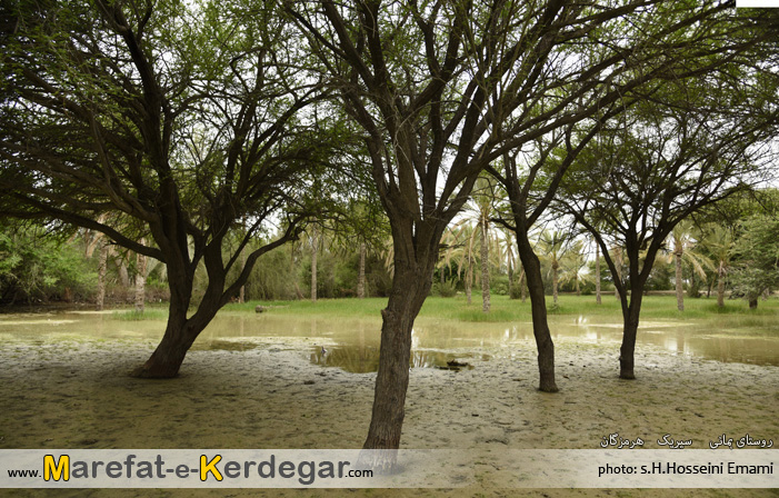 طبیعت استان هرمزگان طبیعت استان هرمزگان