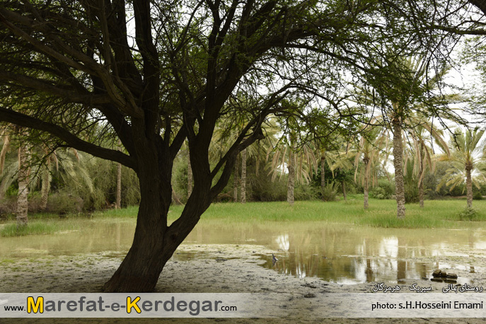 جاذبه های گردشگری سیریک جاذبه های گردشگری سیریک