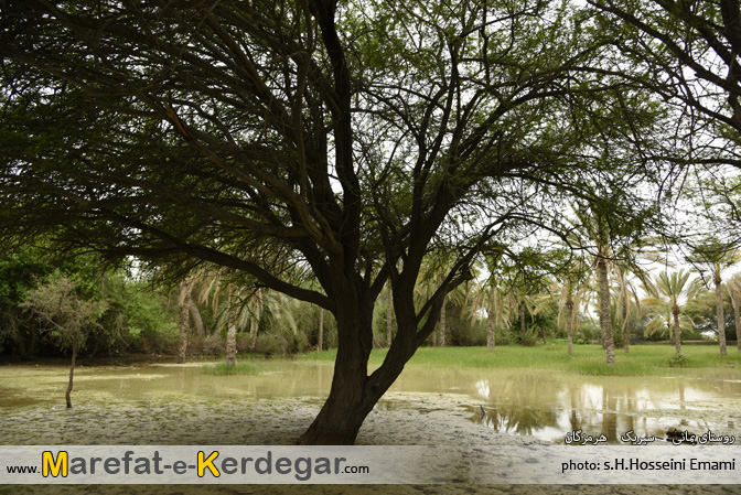 جاذبه های گردشگری سیریک جاذبه های گردشگری سیریک