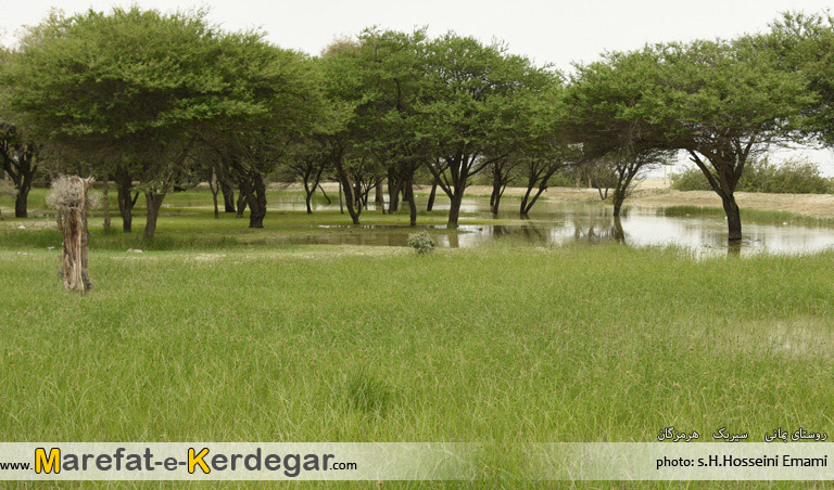 جاذبه های طبیعی استان هرمزگان جاذبه های طبیعی استان هرمزگان