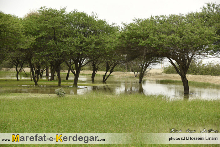 جاذبه های طبیعی استان هرمزگان جاذبه های طبیعی استان هرمزگان