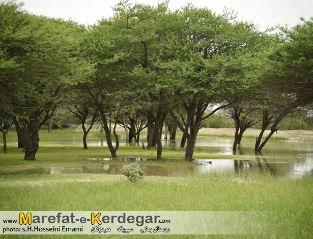 جاذبه های طبیعی هرمزگان جاذبه های طبیعی هرمزگان