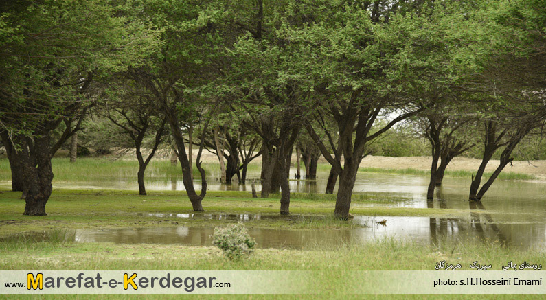 اماکن گردشگری سیریک اماکن گردشگری سیریک