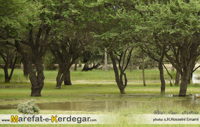 اماکن گردشگری استان هرمزگان اماکن گردشگری استان هرمزگان