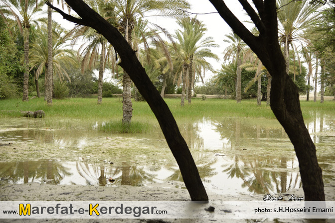 روستای بمانی روستای بمانی