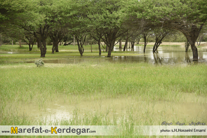 مکان های دیدنی سیریک مکان های دیدنی سیریک