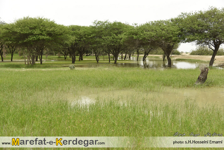 مکان های دیدنی سیریک مکان های دیدنی سیریک