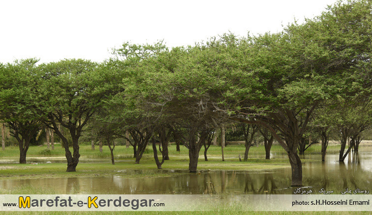 مکان های دیدنی هرمزگان مکان های دیدنی هرمزگان