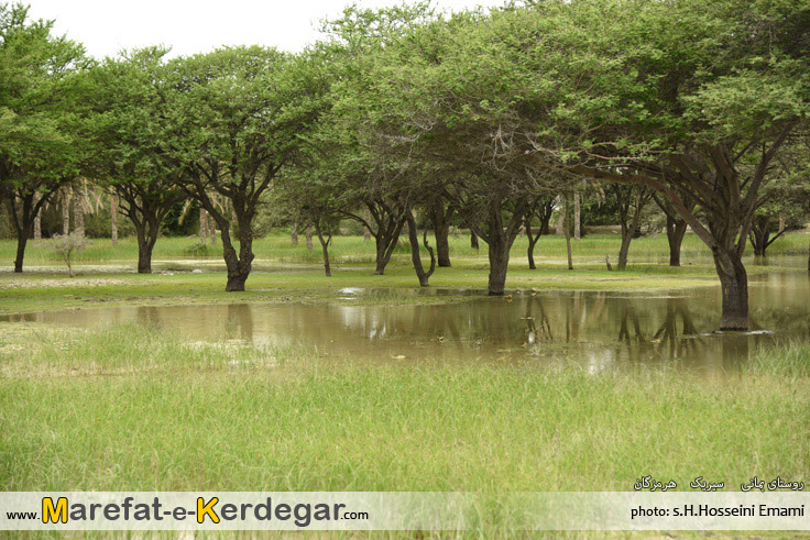 مکان های دیدنی هرمزگان مکان های دیدنی هرمزگان