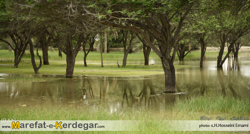 مکان های دیدنی استان هرمزگان مکان های دیدنی استان هرمزگان