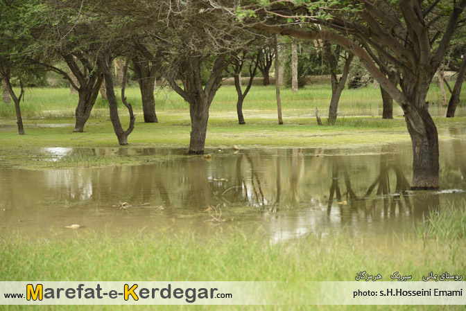 مکان های دیدنی استان هرمزگان مکان های دیدنی استان هرمزگان