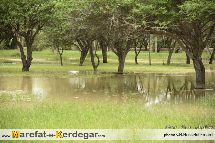 جاهای دیدنی سیریک جاهای دیدنی سیریک