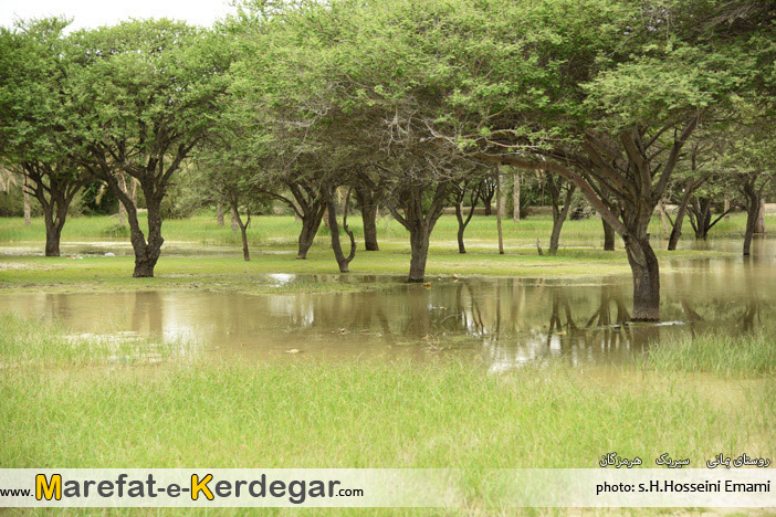 جاهای دیدنی سیریک جاهای دیدنی سیریک