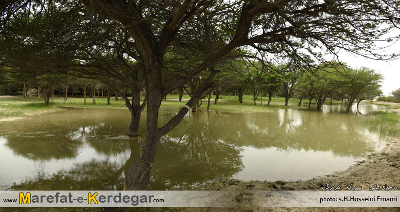 جاهای دیدنی بندر سیریک جاهای دیدنی بندر سیریک