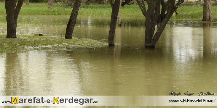 بارندگی در سیریک بارندگی در سیریک