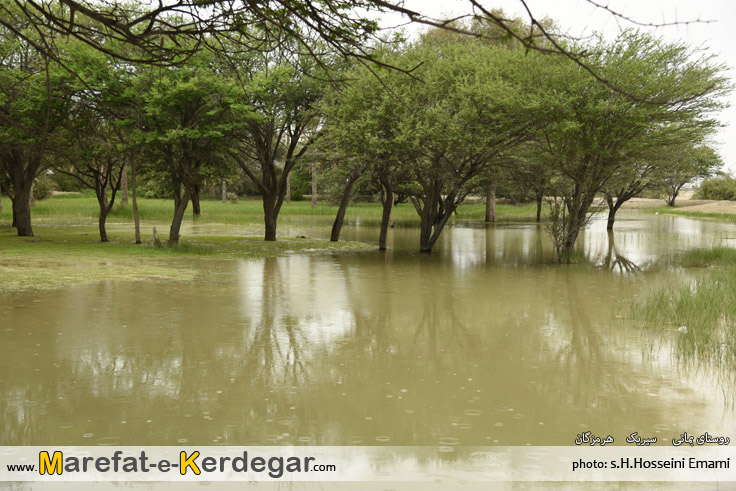 بهار سیریک بهار سیریک