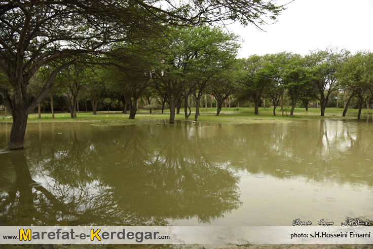 بهار سیریک بهار سیریک