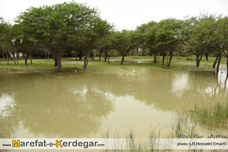بهار در هرمزگان بهار در هرمزگان