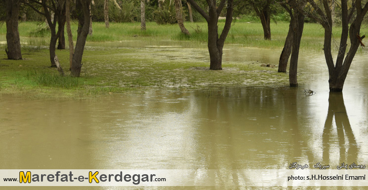 بهار در هرمزگان بهار در هرمزگان