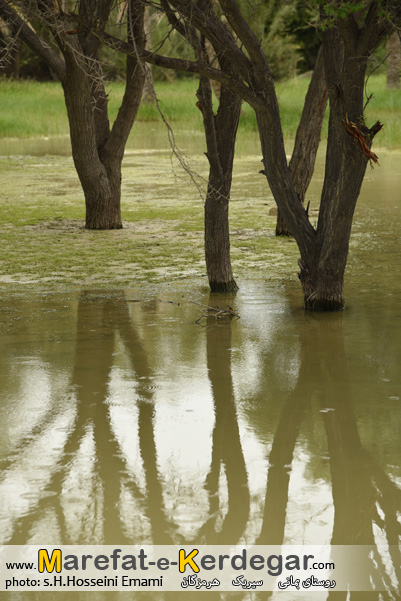 بهار استان هرمزگان بهار استان هرمزگان