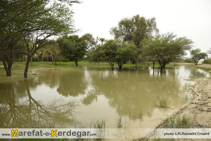 طبیعت بهاری سیریک طبیعت بهاری سیریک