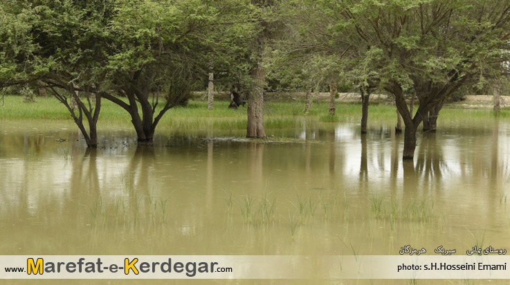 طبیعت بهاری هرمزگان طبیعت بهاری هرمزگان