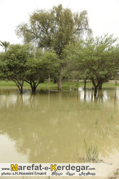 طبیعت بهاری استان هرمزگان طبیعت بهاری استان هرمزگان