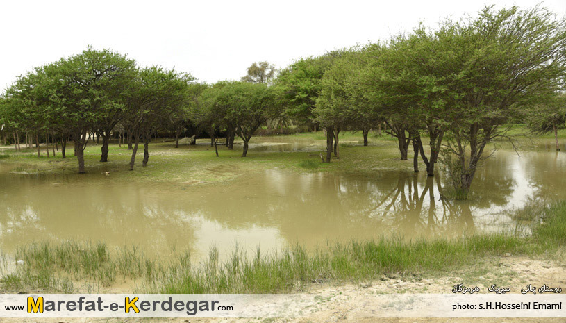 مکان های توریستی سیریک مکان های توریستی سیریک