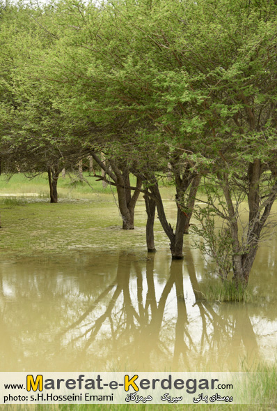 مکان های توریستی هرمزگان