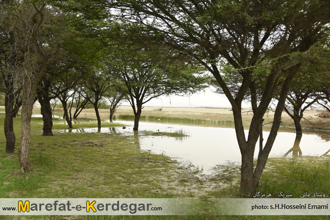 طبیعت سیریک طبیعت سیریک